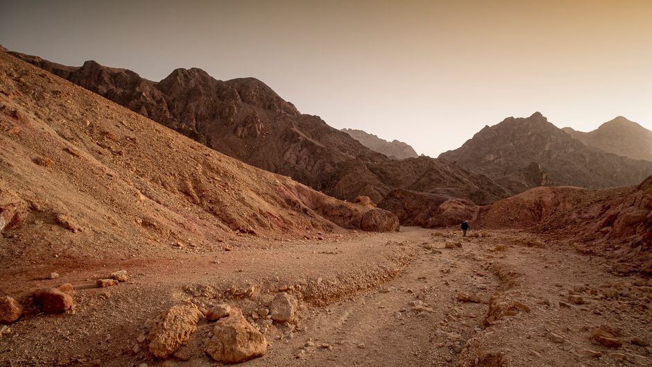 The Lean Training Blueprint: How to Get a Marathon PR on Fewer Miles