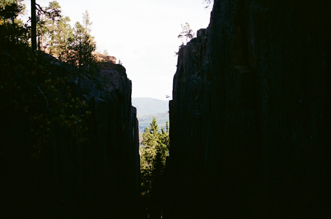 A stunning, wide-angle view from an overlook of a deep, tree-covered canyon with a river below, partially obscured by a beautiful morning mist.